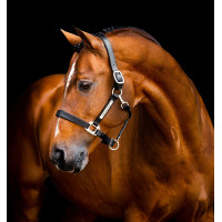 Lederen halster Horseware Signature Zwart