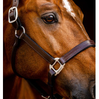 Lederen halster Horseware Signature Zwart