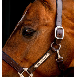 Lederen halster Horseware Signature Zwart Lederen halster Horseware Signature Zwart