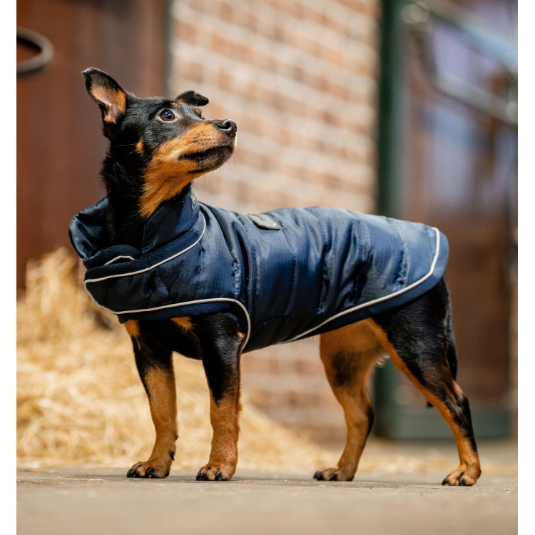 Hondendeken Horseware Signature 200g