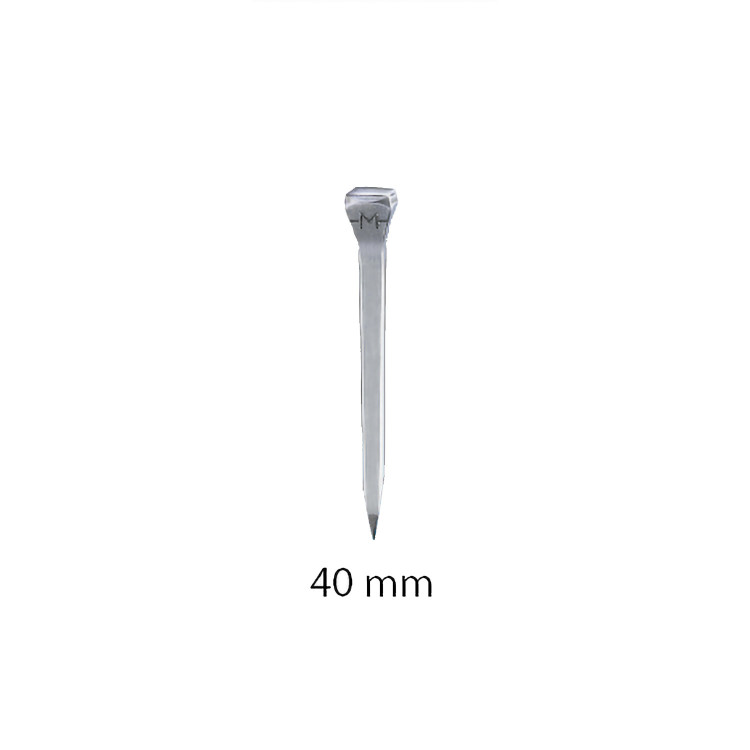 Doos spijkers Mondial FJ00 100 stuks