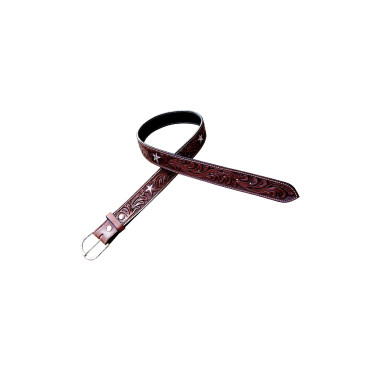 Star Pool's riem Star Pool's riem