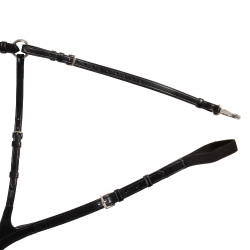 Anatomisch 5-punts borsttuig Acavallo Zwart