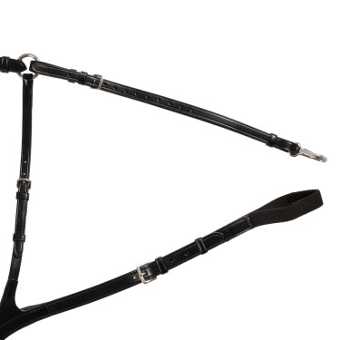 Anatomisch 5-punts borsttuig Acavallo Zwart