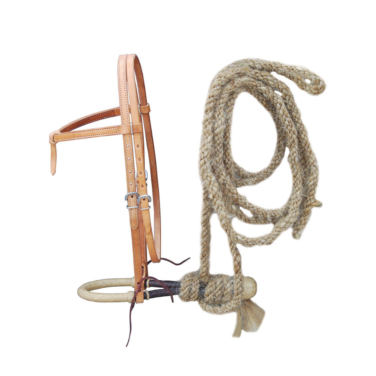 Bosal pool's klassieke Lakota samen