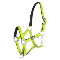 Licol pour poulain en cuir rembourré toucher doux à double réglage Supreme Citron