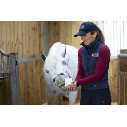 Pierre à lécher Likit