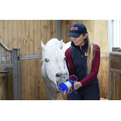 Pierre à lécher Likit