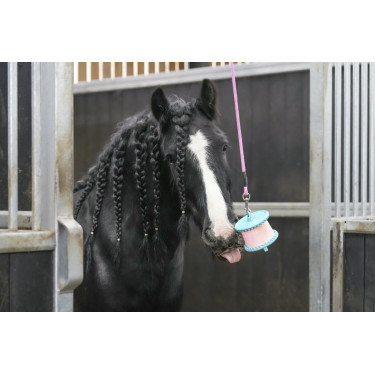 Pierre à lécher Likit Pierre à lécher Likit