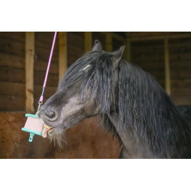 Pierre à lécher Likit Pierre à lécher Likit