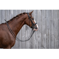 HKM hoofdstel Kate Zwart