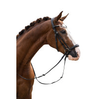 Bridon HKM Nicole Zwart Bridon HKM Nicole Zwart