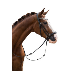 Bridon HKM Nicole Zwart