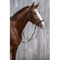 Bridon HKM Nicole Zwart Bridon HKM Nicole Zwart