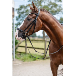 Bridon HKM Nicole Zwart