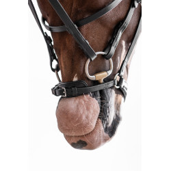 Bridon HKM Nicole Zwart