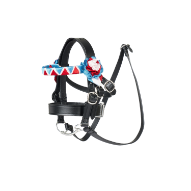 Bridon Mini Pony LeMieux Showen