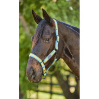 Halster Weatherbeeta Coordinate Lichtblauw / goud / zandkleurig Multicolor