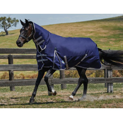 Weatherbeeta ComFiTec Essential Combo 220 g deken Marine / zilver / rood Blauw Weatherbeeta ComFiTec Essential Combo 220 g deken Marine / zilver / rood Blauw