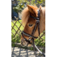 Bridon Pénélope Eden Havana Bruin Bridon Pénélope Eden Havana Bruin