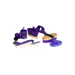 Coffret de pansage pour enfants Horze Violet