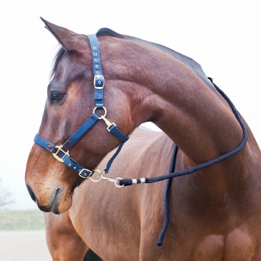 Horze Supreme longeerlijn, musketon Blauw