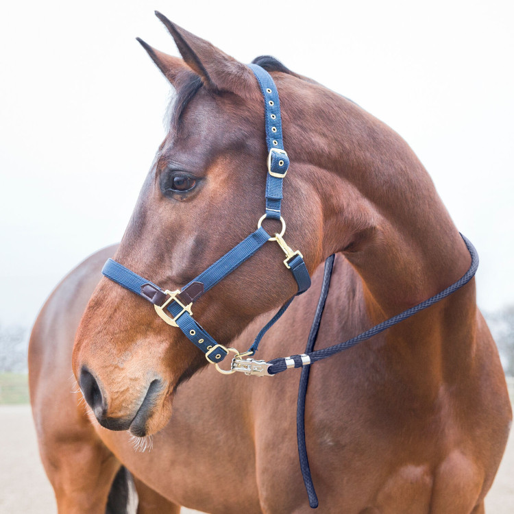 Horze Supreme longe, panieksluiting musketon Horze Supreme longe, panieksluiting musketon