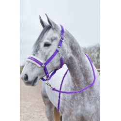 Longe Howard Crescendo Horze Violet