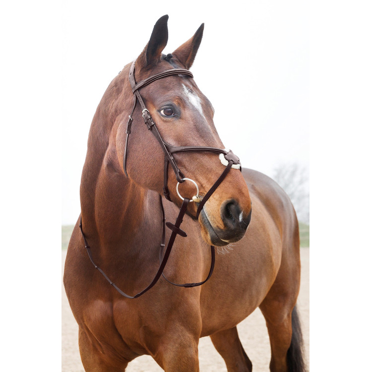 Hoofdstel met kruisneusriem Prescott Horze Hoofdstel met kruisneusriem Prescott Horze