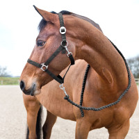 Basis longe Horze van katoen Frambozenroze Basis longe Horze van katoen Frambozenroze