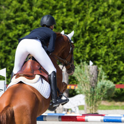Winslow Horze paardrijlaarzen Zwart