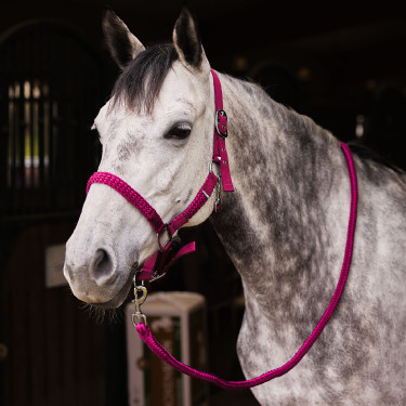 Halster- en leidseltouwset Chicago Horze Bordeaux / violet kwarts Halster- en leidseltouwset Chicago Horze Bordeaux / violet kwarts