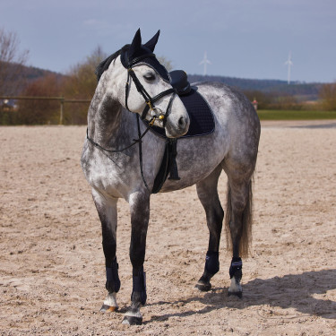 Adepto-beschermers Horze Donker marineblauw