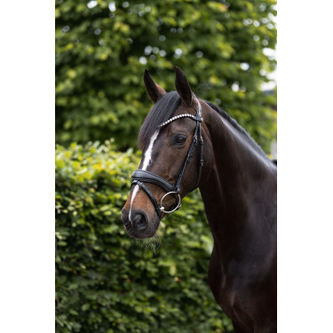 Anatomisch hoofdstel Horze Somerset Anatomisch hoofdstel Horze Somerset