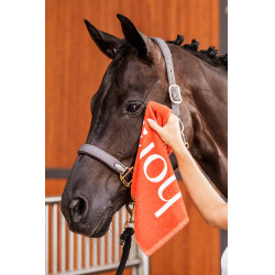 Handdoek Horze Roestoranje Handdoek Horze Roestoranje