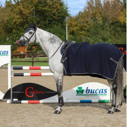 Show-Line Bucas 600g polar deken Marine / grijs Blauw