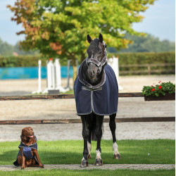 Show-Line Bucas 600g polar deken Marine / grijs Blauw