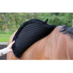 LeMieux Merino+ Sensitive Skin Euro Jump Square zadeldek LeMieux Merino+ Sensitive Skin Euro Jump Square zadeldek