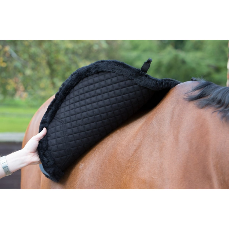 LeMieux Merino+ Sensitive Skin Euro Jump Square zadeldek LeMieux Merino+ Sensitive Skin Euro Jump Square zadeldek