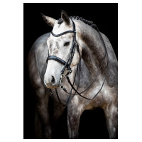 Hoofdstel Montar Normandië gelooid leer Zwart