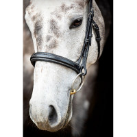 Bridon Montar Hunter Zwart Bridon Montar Hunter Zwart