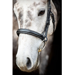 Bridon Montar Hunter Zwart