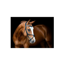 Bridon Montar Lyon 8-Fig gelooid leer Zwart