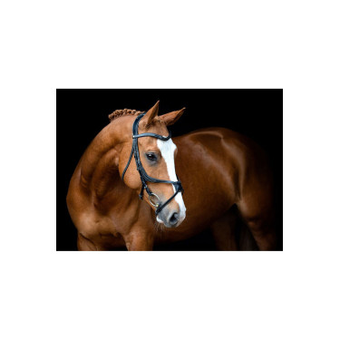 Bridon Montar Lyon 8-Fig gelooid leer Bridon Montar Lyon 8-Fig gelooid leer