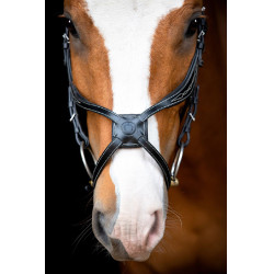 Bridon Montar Lyon 8-Fig gelooid leer Zwart