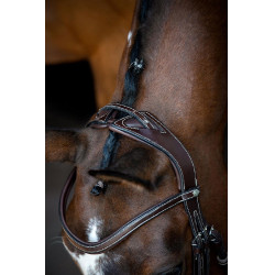 Bridon Montar Monarch leer organisch gelooid Bruin