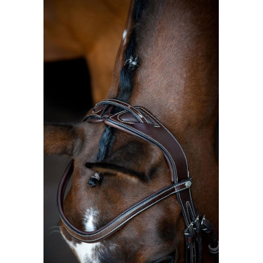 Bridon Montar Monarch leer organisch gelooid Bruin