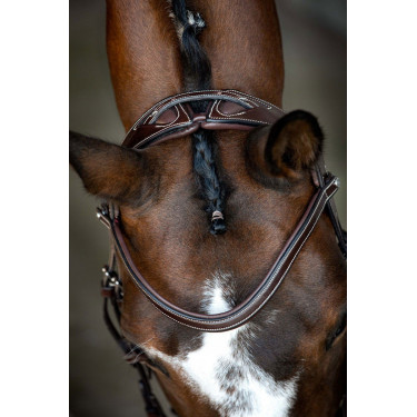 Bridon Montar Monarch leer organisch gelooid Bruin