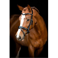 Bridon Montar Normandië gelooid leer Zwart