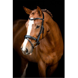 Bridon Montar Normandië gelooid leer Zwart Bridon Montar Normandië gelooid leer Zwart
